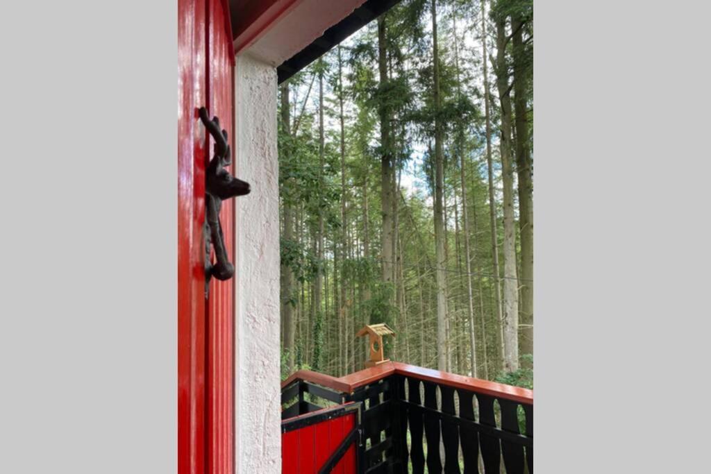 The Vianden Cottage - Charming Cottage In The Forest Экстерьер фото